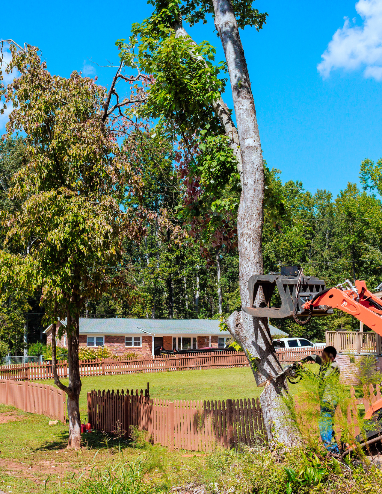 J&F Tree Services10 (4)